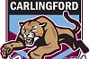 carlingford cougars jrlfc logo