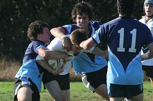 Cronulla Final AAC '08 - Aquinas College Vs Cronulla HS (Photo : ourfooty media) 