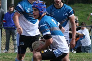 Cronulla Sharks Vs Wests Magpies Under 15 Develpoment Rugby League (Photo : ourfooty media)