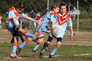 De La Salle Vs Yarrawarra Tigers 2008 11 A Grand Final ( Photo : ourfooty media) 