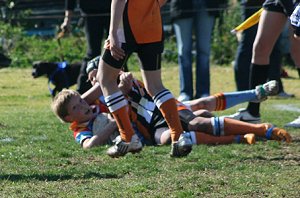De La Salle Vs Yarrawarra Tigers 2008 11 A Grand Final ( Photo : ourfooty media) 