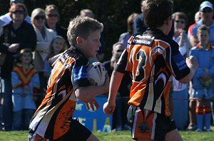 De La Salle Vs Yarrawarra Tigers 2008 11 A Grand Final ( Photo : ourfooty media) 