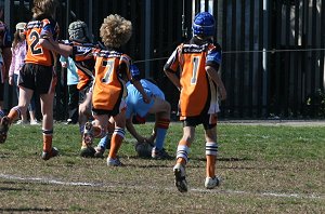 De La Salle Vs Yarrawarra Tigers 2008 11 A Grand Final ( Photo : ourfooty media) 
