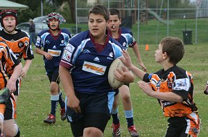 Tigers vs Colts (Photo : ourfooty media) 