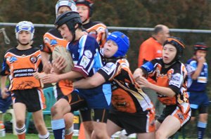Tigers vs Colts (Photo : ourfooty media) 