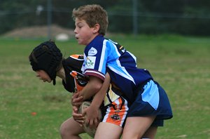 Tigers vs Colts (Photo : ourfooty media) 