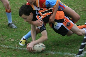 TIGERS TRY TIME - Yarrawarra Tigers vs De la Salle 11A's (Photo : ourfooty media) 