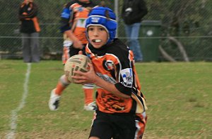 Yarrawarra Tigers vs De la Salle 11A's (Photo : ourfooty media) 