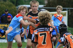 Yarrawarra Tigers vs De la Salle 11A's (Photo : ourfooty media) 