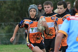 Yarrawarra Tigers vs De la Salle 11A's (Photo : ourfooty media) 