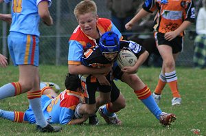 Yarrawarra Tigers vs De la Salle 11A's (Photo : ourfooty media) 