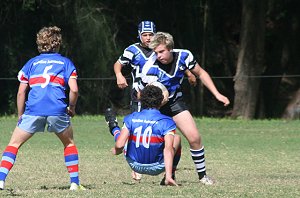 Dragons Vs Sharks Rnd 3 (Photo : ourfooty media) 