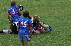 Dragons Vs Sharks Rnd 3 (Photo : ourfooty media) 