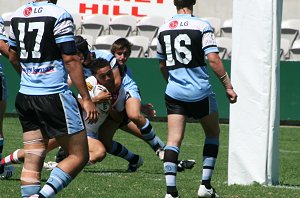 Sharks vs Dragons 