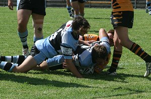 Tigers Vs Sharks - Rnd 7 (Photo : ourfooty media) 