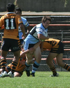 Tigers Vs Sharks - Rnd 7 