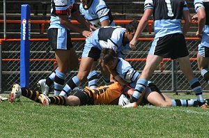 Tigers Vs Sharks - Rnd 7 (Photo : ourfooty media) 
