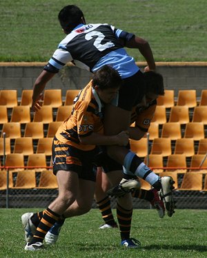 Tigers Vs Sharks - Rnd 7 (Photo : ourfooty media) 