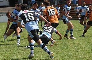 Tigers Vs Sharks - Rnd 7 (Photo : ourfooty media) 