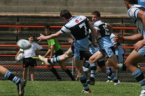 Tigers Vs Sharks - Rnd 7 (Photo : ourfooty media) 