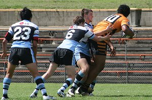Tigers Vs Sharks - Rnd 7 (Photo : ourfooty media) 