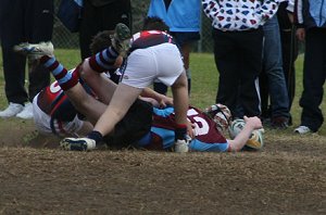 Cronulla High Schools Knockouts Under 15's ( Photo : ourfooty media)
