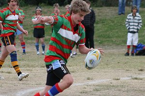 Cronulla High Schools Knockouts Under 15's ( Photo : ourfooty media)