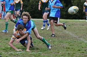 Cronulla High Schools Knockouts Under 15's ( Photo : ourfooty media)