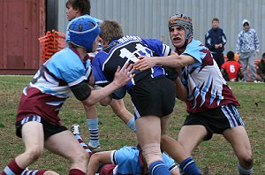 Cronulla High Schools Knockouts Under 15's ( Photo : ourfooty media)