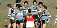 Up Up Cronulla