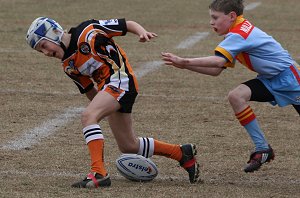 Cronulla Juniors in action on Grand Final Day (Photo's : ourfootymedia)