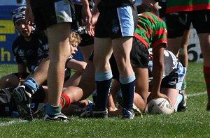 Cronulla Sharks v Souths Rabbitoh's U14's Development aCTion (Photo's : ourfootymedia)