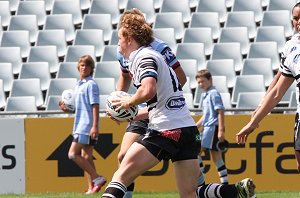 Wests Magpies v Cronulla Sharks Rnd 5 HMC (Photo's : ourfooty media)