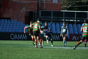 Cronulla SHARKS Academy Under 13's v South Sydney Junior Bunnies @ Shark Park (Photo : OurFootyMedia) 