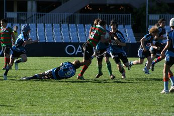 Cronulla SHARKS Academy Under 13's v South Sydney Junior Bunnies @ Shark Park (Photo : OurFootyMedia) 