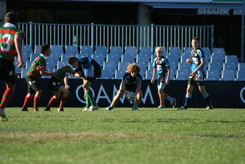 Cronulla SHARKS Academy Under 13's v South Sydney Junior Bunnies @ Shark Park (Photo : OurFootyMedia) 