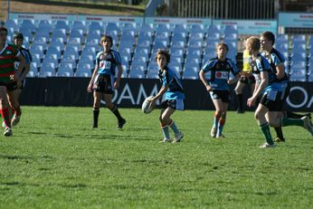 Cronulla SHARKS Academy Under 14's v South Sydney Junior Bunnies @ Shark Park (Photo : OurFootyMedia) 