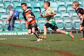 Newtown JETS v Cronulla SHARKS NSW Cup semi final action (Photo : steve monty / OurFootyMedia) 