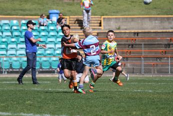 KIDS @ 1/2 TIME - Newtown JETS v Cronulla SHARKS NSW Cup semi final action (Photo : steve monty / OurFootyMedia) 