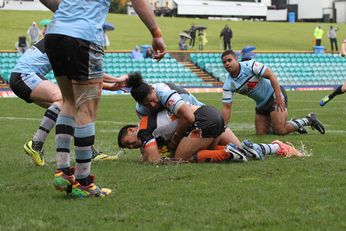WestsTigers v Cronulla Sharks - U20s Holden Cup action (Photo : steve monty / OurFootyTeam.com)