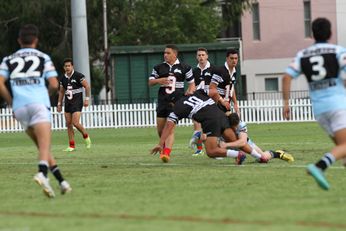 2015 Junior rep trials South Sydney RABBITOH'S v Cronulla SHARKS SG Ball Trial (Photo : Steve Monty / OurFootyMedia) 