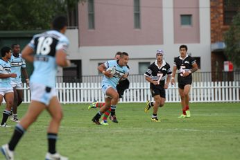 2015 Junior rep trials South Sydney RABBITOH'S v Cronulla SHARKS SG Ball Trial (Photo : Steve Monty / OurFootyMedia) 