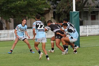 2015 Junior rep trials South Sydney RABBITOH'S v Cronulla SHARKS SG Ball Trial (Photo : Steve Monty / OurFootyMedia) 