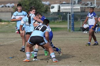 Cronulla SHARKS Academy u17s v Bulldogs Academy u17s (Photo : steve monty / OurFootyTeam.com)