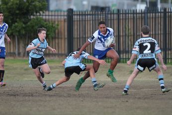 Cronulla Sharks Academy Under 13s v Canterbury Bankstown Bulldogs Action (Photo : steve montgomery / OurFootyTeam.com)