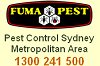 www.termite.com.au