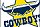 Nth QLD Cowboys media