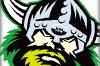 Canberra Raiders Junior Rep's