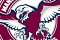 Sea Eagles