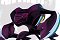 Panthers